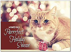 Purrfect Season Holiday Card D9196U-A